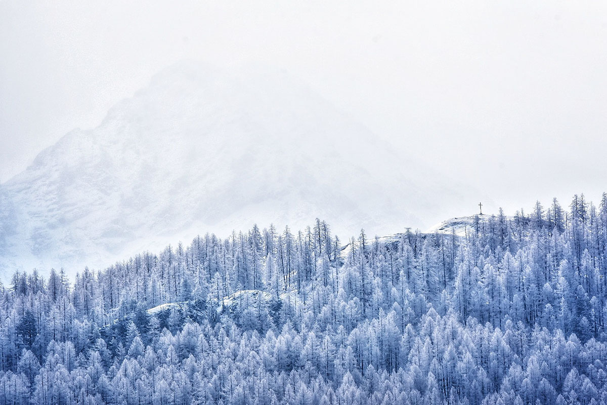 La magia della natura